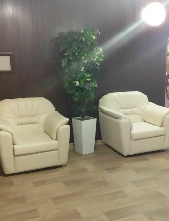 Кресло Премьер в Козульке - kozulka.mebel54.com | фото