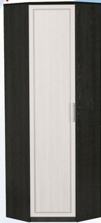 Шкаф для одежды угловой ДЛЯ ГОСТИНОЙ ШОУ-695 Венге/Дуб выбеленный в Козульке - kozulka.mebel54.com | фото