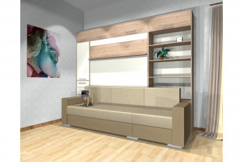 Шкаф-кровать с диваном Каролина в Козульке - kozulka.mebel54.com | фото